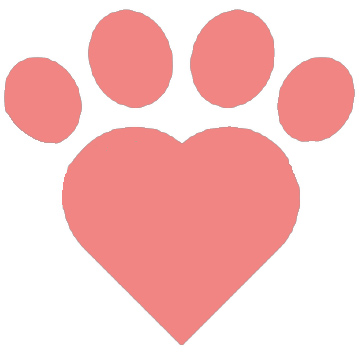 Annunci e Notizie Animali domestici