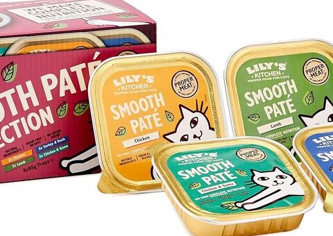 I Migliori Cibi per Gatti: Qualità e Convenienza su TrovoAnimali.it