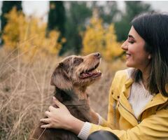 Costruire un legame forte con il tuo cane
