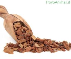 Corteccia di quercia - 1/3