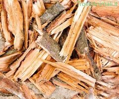 Corteccia di quercia - 2/3