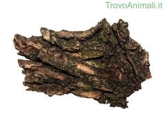 Corteccia di quercia - 3/3