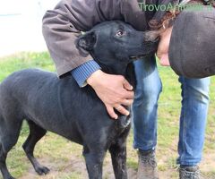  UNA MAMMA PER ROBIN - 2/2