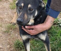  UNA MAMMA PER PRISCILLA - 1/2