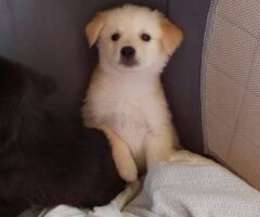  BABÀ e BIGNÈ taglia piccola