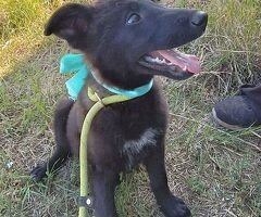  MORA ASPETTA UNA MAMMA - 3/3