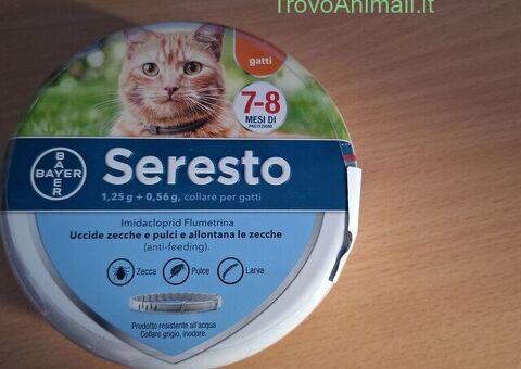 Collare Seresto per gatti