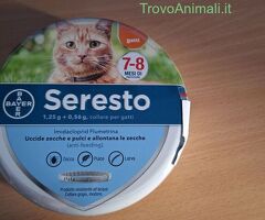 Collare Seresto per gatti