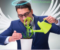 St\'creando una area protetta per i nostri animali