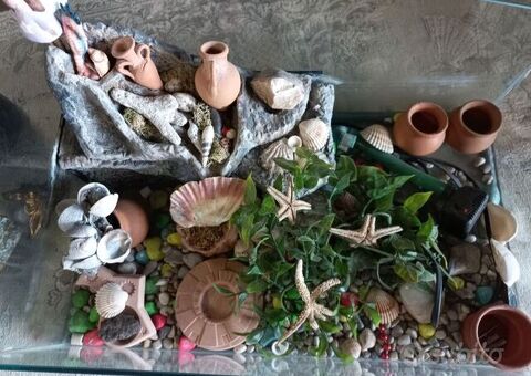 Acquario per tartarughe completo di accessori