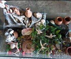Acquario per tartarughe completo di accessori