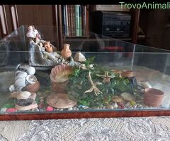 Acquario per tartarughe completo di accessori - 2/2