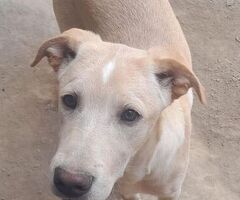  MASHA ASPETTA UNA MAMMA - 3/4
