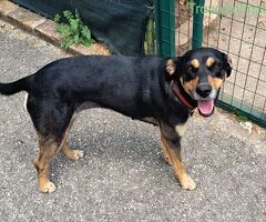  DOLCISSIMA MILLY - 2/2