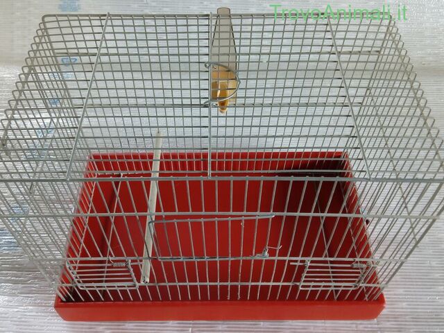 Gabbia per uccelli ed altri animali misure esterne - 1/4