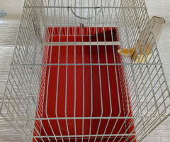 Gabbia per uccelli ed altri animali misure esterne - 3/4