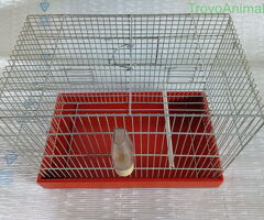 Gabbia per uccelli ed altri animali misure esterne - 4/4